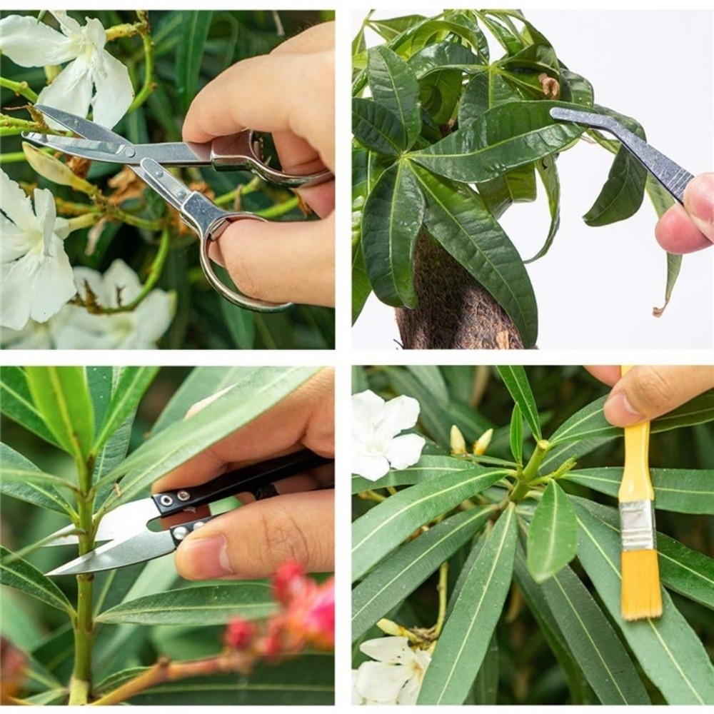 Spade Digging Fork - Set di Attrezzi da Giardinaggio Multifunzionale