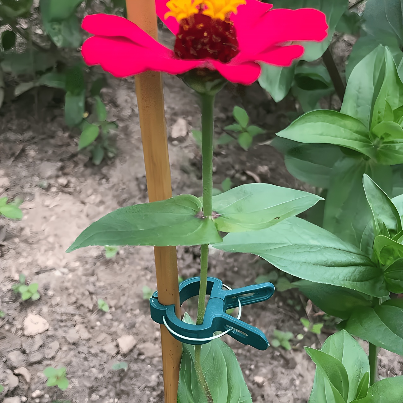 Gardening Tools Essential - 5 clip regolabili per piante, grandi