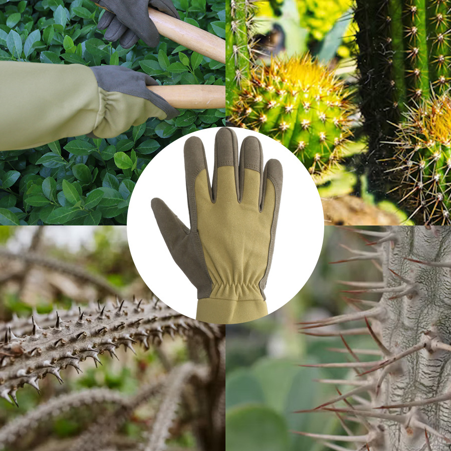 Guanti da Giardinaggio Lunghi  - Garden Gloves Thorn Proof recensione e prezzo