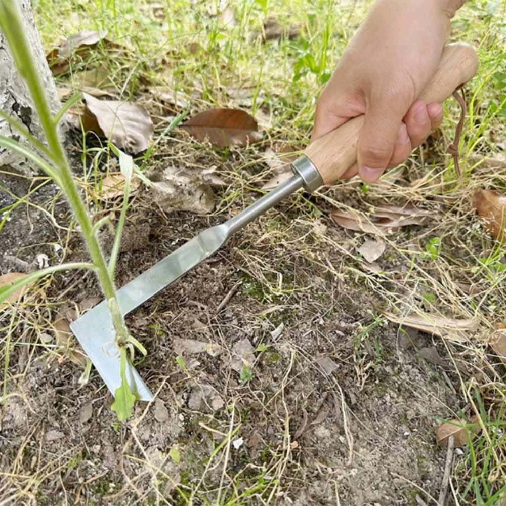 Attrezzo per Diserbo in Acciai - Gardening Tools Used recensione e prezzo
