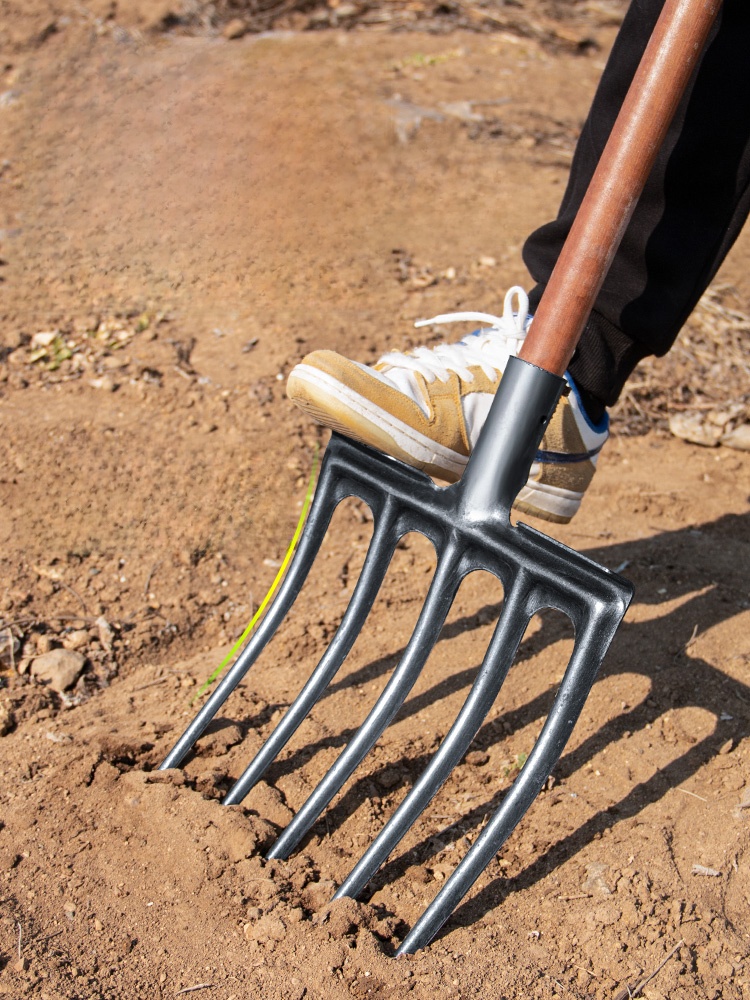 Strumento per l'allevamento de - Spade Digging Fork recensione e prezzo