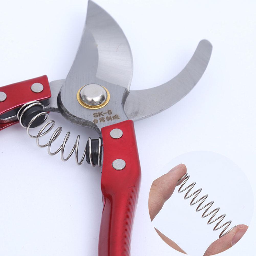 Molle di Ricambio Essenziali p - Gardening Tools Essential recensione e prezzo