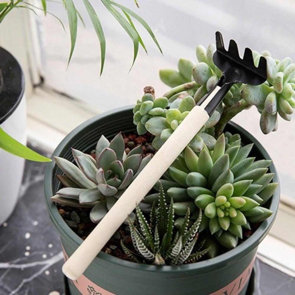 Set di Attrezzi Multifunzional - Spade Digging Fork recensione e prezzo