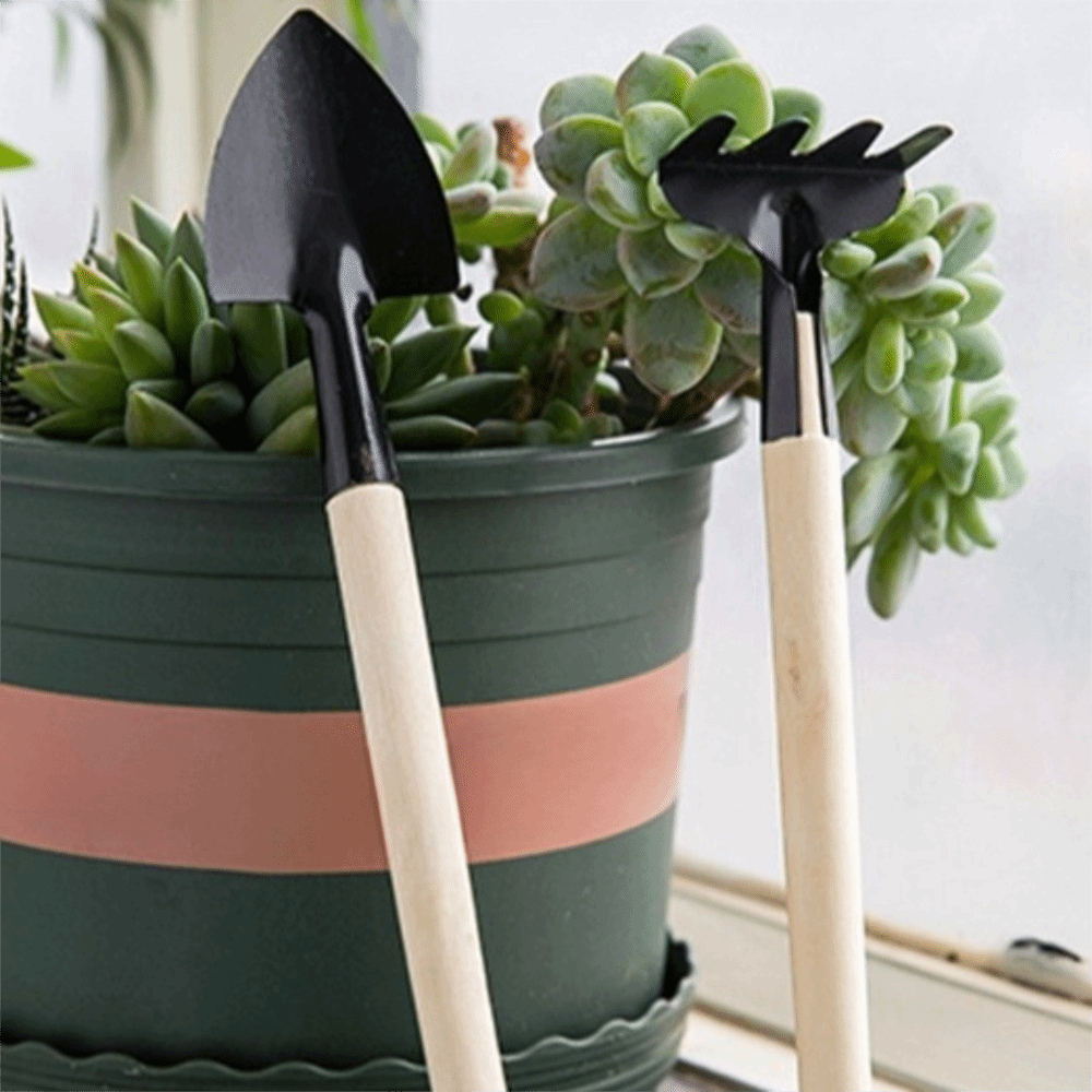 Set di Attrezzi Multifunzional - Spade Digging Fork recensione e prezzo