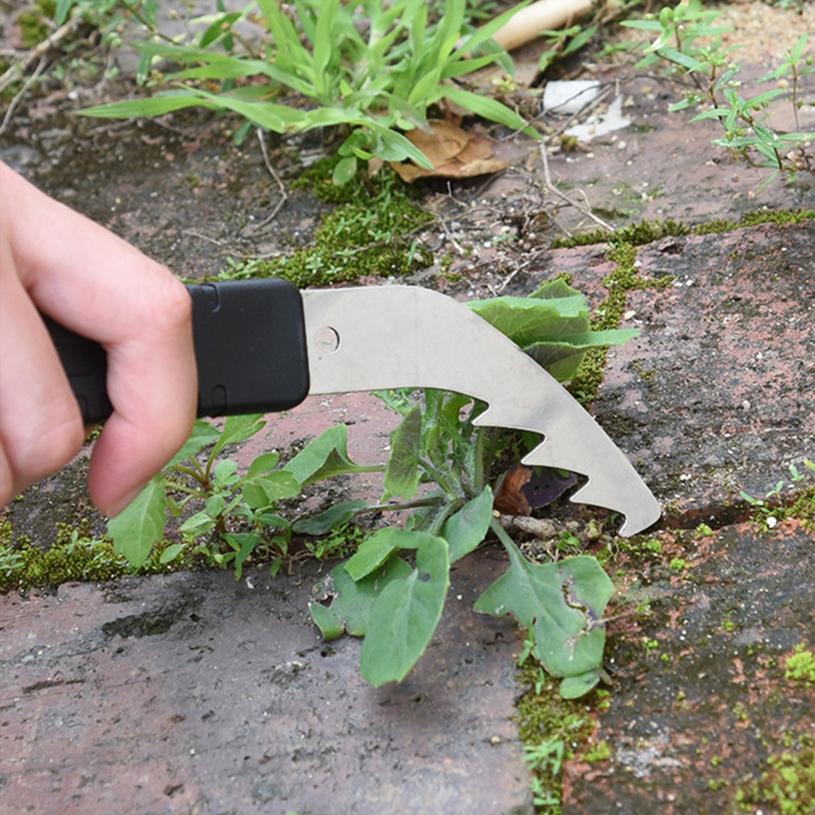 Attrezzo Manuale per Diserbo,  - Gardening Tools Essential recensione e prezzo