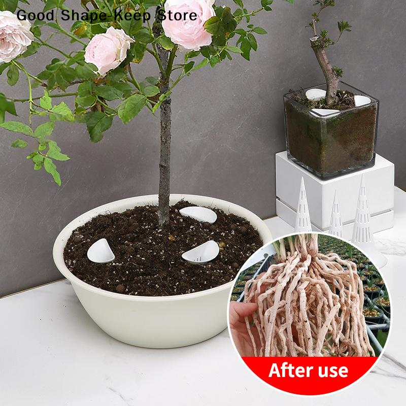 Dispositivo di irrigazione tra - Gardening Tools Essential recensione e prezzo