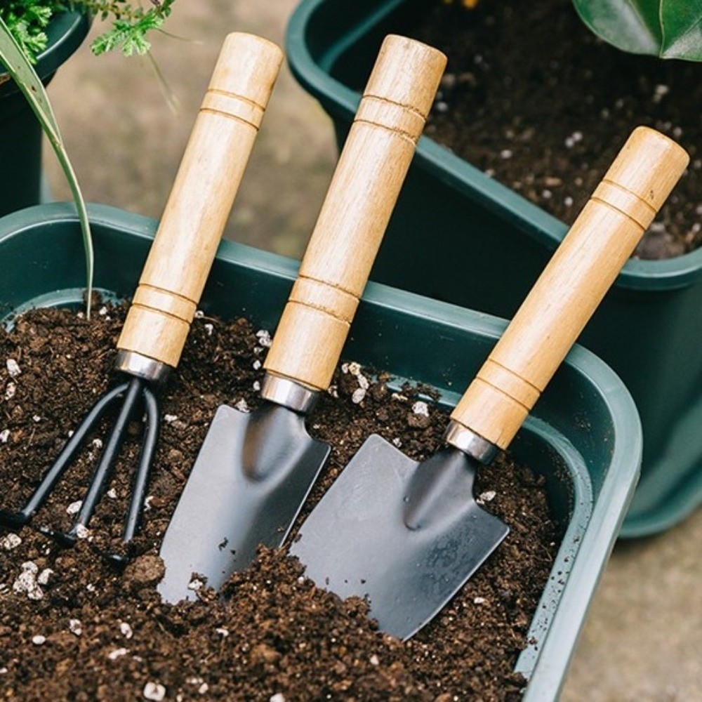 Set di Attrezzi da Giardinaggi - Spade Digging Fork recensione e prezzo