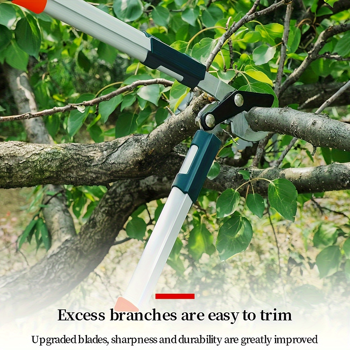 Forbici da Potatura Profession - Gardening Tools Heavy Duty recensione e prezzo