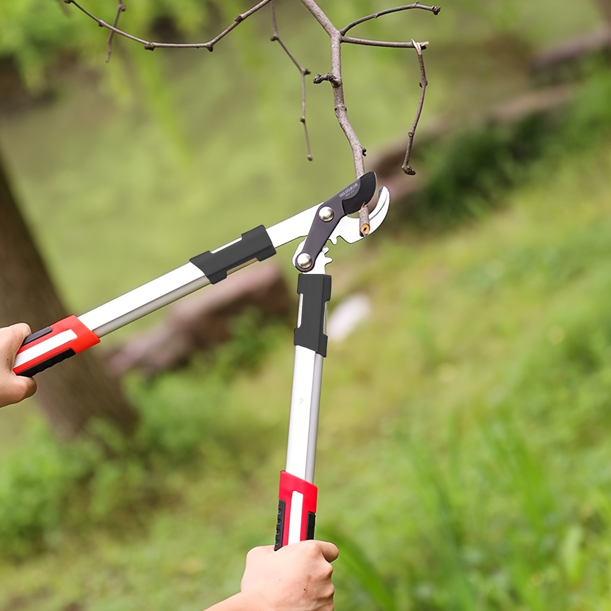 Forbici da Potatura Profession - Gardening Tools Heavy Duty recensione e prezzo