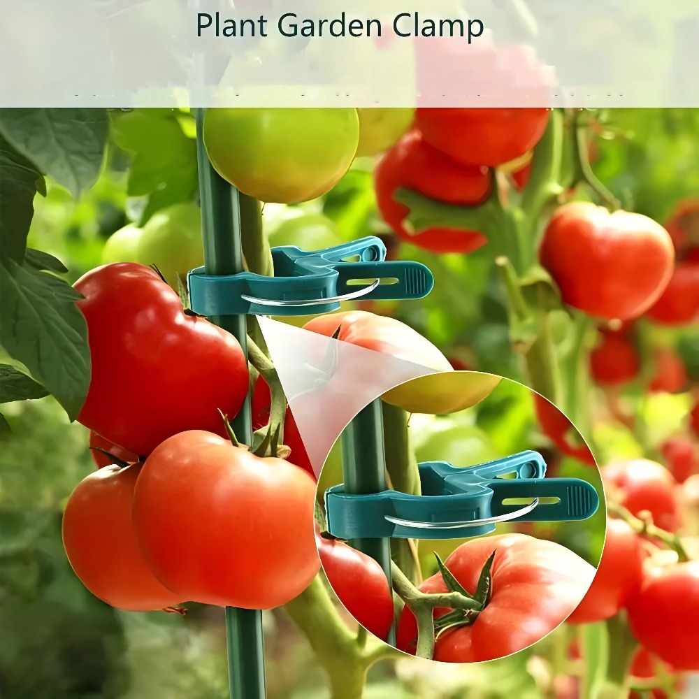 Clip regolabili per piante da  - Gardening Tools Essential recensione e prezzo