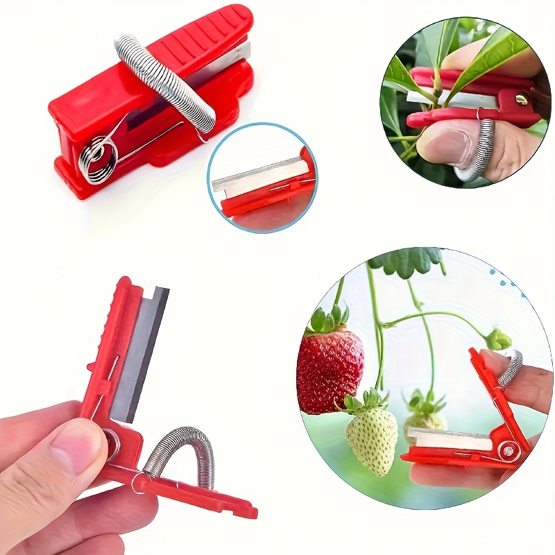 Forbici da giardinaggio per po - Gardening Tools Pink recensione e prezzo