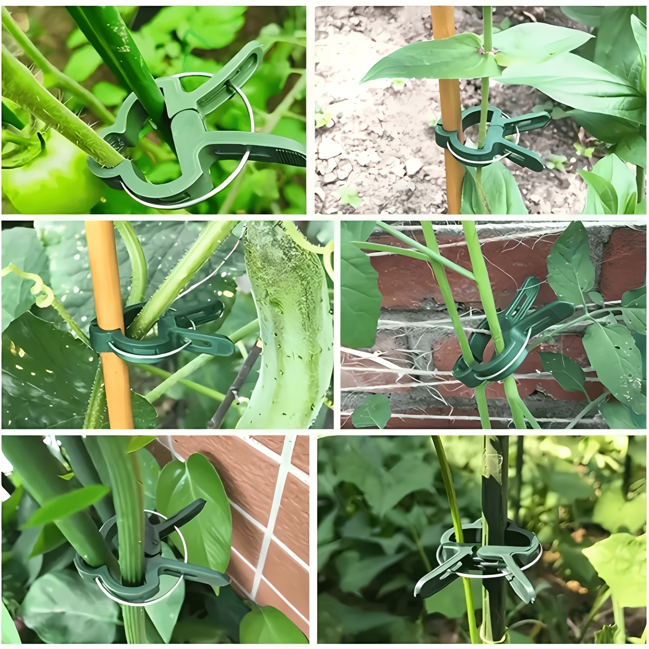 5 clip regolabili per piante,  - Gardening Tools Essential recensione e prezzo