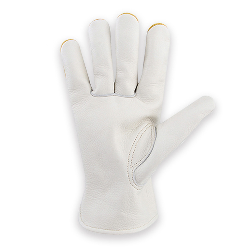 Guanti da lavoro di sicurezza  - Garden Gloves Thorn Proof recensione e prezzo