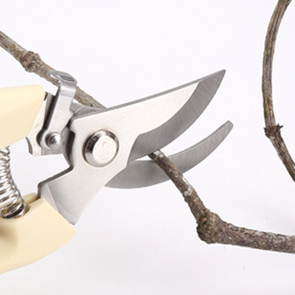 Cesoie da potatura Utensili ma - Gardening Tools Pink recensione e prezzo