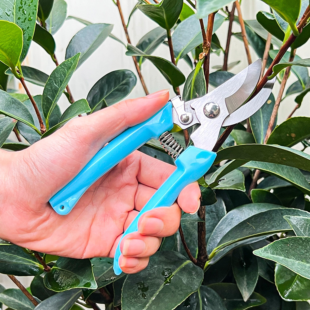 Forbici da Potatura per Giardi - Gardening Tools Pink recensione e prezzo