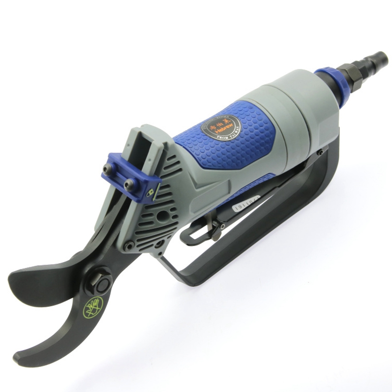 Le cesoie da potatura pneumati - Gardening Tools Used recensione e prezzo